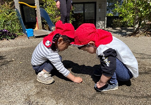 photo06